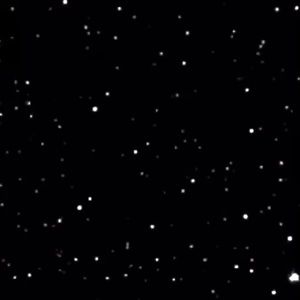 Meet your Posher, Jayme